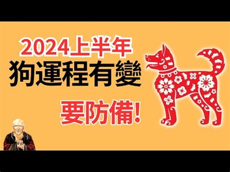 1982屬狗十年運勢|82年狗41歲后十年大運運程 82年屬狗人最窮不過41歲